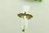  ( - USNM ENT 00719421)  @12 [ ] Unspecified (default): All Rights Reserved  Unspecified Unspecified