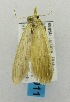  ( - USNM ENT 00719710)  @12 [ ] Unspecified (default): All Rights Reserved  Unspecified Unspecified