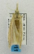  ( - USNM ENT 00719711)  @12 [ ] Unspecified (default): All Rights Reserved  Unspecified Unspecified