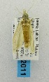  ( - USNM ENT 00719712)  @12 [ ] Unspecified (default): All Rights Reserved  Unspecified Unspecified