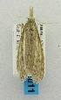  ( - USNM ENT 00719713)  @12 [ ] Unspecified (default): All Rights Reserved  Unspecified Unspecified