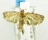  ( - USNM ENT 00721136)  @13 [ ] Unspecified (default): All Rights Reserved  Unspecified Unspecified