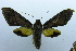  ( - USNM ENT 00731882)  @13 [ ] Unspecified (default): All Rights Reserved  Unspecified Unspecified