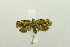  ( - USNM ENT 00731887)  @12 [ ] Unspecified (default): All Rights Reserved  Unspecified Unspecified