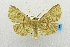  ( - USNM ENT 00731989)  @14 [ ] Unspecified (default): All Rights Reserved  Unspecified Unspecified