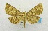 ( - USNM ENT 00731990)  @14 [ ] Unspecified (default): All Rights Reserved  Unspecified Unspecified