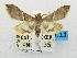  ( - USNM ENT 00732003)  @11 [ ] Unspecified (default): All Rights Reserved  Unspecified Unspecified