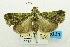  ( - USNM ENT 00732082)  @14 [ ] Unspecified (default): All Rights Reserved  Unspecified Unspecified