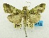  ( - USNM ENT 00732084)  @14 [ ] Unspecified (default): All Rights Reserved  Unspecified Unspecified