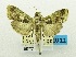 ( - USNM ENT 00732085)  @14 [ ] Unspecified (default): All Rights Reserved  Unspecified Unspecified