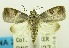  ( - USNM ENT 00732432)  @11 [ ] Unspecified (default): All Rights Reserved  Unspecified Unspecified