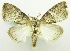  ( - USNM ENT 00732493)  @14 [ ] Unspecified (default): All Rights Reserved  Unspecified Unspecified