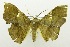  ( - USNM ENT 00732574)  @12 [ ] Unspecified (default): All Rights Reserved  Unspecified Unspecified