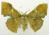  ( - USNM ENT 00732576)  @13 [ ] Unspecified (default): All Rights Reserved  Unspecified Unspecified