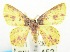  ( - USNM ENT 00732682)  @12 [ ] Unspecified (default): All Rights Reserved  Unspecified Unspecified