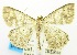  ( - USNM ENT 00732699)  @12 [ ] Unspecified (default): All Rights Reserved  Unspecified Unspecified