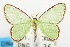  ( - USNM ENT 00732914)  @14 [ ] Unspecified (default): All Rights Reserved  Unspecified Unspecified