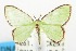  ( - USNM ENT 00732916)  @11 [ ] Unspecified (default): All Rights Reserved  Unspecified Unspecified