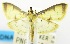  ( - USNM ENT 00732970)  @11 [ ] Unspecified (default): All Rights Reserved  Unspecified Unspecified