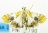  ( - USNM ENT 00732976)  @14 [ ] Unspecified (default): All Rights Reserved  Unspecified Unspecified