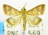  ( - USNM ENT 00732977)  @14 [ ] Unspecified (default): All Rights Reserved  Unspecified Unspecified