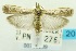  (Cryptoblabes sp - USNM ENT 00733209)  @15 [ ] Unspecified (default): All Rights Reserved  Unspecified Unspecified