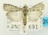  ( - USNM ENT 00733277)  @11 [ ] Unspecified (default): All Rights Reserved  Unspecified Unspecified