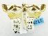  ( - USNM ENT 00733335)  @13 [ ] Unspecified (default): All Rights Reserved  Unspecified Unspecified
