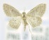  ( - USNM ENT 00733909)  @12 [ ] Unspecified (default): All Rights Reserved  Unspecified Unspecified
