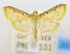  ( - USNM ENT 00733914)  @12 [ ] Unspecified (default): All Rights Reserved  Unspecified Unspecified