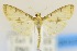  ( - USNM ENT 00733915)  @12 [ ] Unspecified (default): All Rights Reserved  Unspecified Unspecified