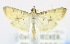  ( - USNM ENT 00733918)  @12 [ ] Unspecified (default): All Rights Reserved  Unspecified Unspecified