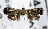  ( - USNM ENT 00796446)  @13 [ ] Unspecified (default): All Rights Reserved  Unspecified Unspecified