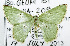  ( - USNM ENT 00796881)  @11 [ ] Unspecified (default): All Rights Reserved  Unspecified Unspecified
