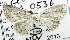  ( - USNM ENT 00796890)  @12 [ ] Unspecified (default): All Rights Reserved  Unspecified Unspecified
