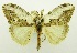  ( - USNM ENT 00797005)  @13 [ ] Unspecified (default): All Rights Reserved  Unspecified Unspecified