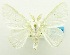  ( - USNM ENT 00797028)  @13 [ ] Unspecified (default): All Rights Reserved  Unspecified Unspecified
