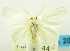 ( - USNM ENT 00797066)  @11 [ ] Unspecified (default): All Rights Reserved  Unspecified Unspecified