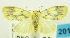  ( - USNM ENT 00797133)  @12 [ ] Unspecified (default): All Rights Reserved  Unspecified Unspecified