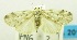  ( - USNM ENT 00797147)  @12 [ ] Unspecified (default): All Rights Reserved  Unspecified Unspecified