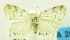  ( - USNM ENT 00797150)  @11 [ ] Unspecified (default): All Rights Reserved  Unspecified Unspecified