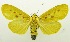  ( - USNM ENT 00797292)  @15 [ ] Unspecified (default): All Rights Reserved  Unspecified Unspecified
