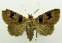 ( - USNM ENT 00797322)  @11 [ ] Unspecified (default): All Rights Reserved  Unspecified Unspecified