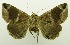  ( - USNM ENT 00797327)  @12 [ ] Unspecified (default): All Rights Reserved  Unspecified Unspecified