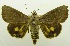  ( - USNM ENT 00797332)  @11 [ ] Unspecified (default): All Rights Reserved  Unspecified Unspecified