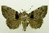  ( - USNM ENT 00797353)  @14 [ ] Unspecified (default): All Rights Reserved  Unspecified Unspecified