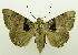  ( - USNM ENT 00797354)  @14 [ ] Unspecified (default): All Rights Reserved  Unspecified Unspecified