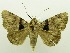 ( - USNM ENT 00797355)  @14 [ ] Unspecified (default): All Rights Reserved  Unspecified Unspecified