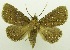  ( - USNM ENT 00797362)  @11 [ ] Unspecified (default): All Rights Reserved  Unspecified Unspecified