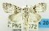  (Nola fuscibasis - USNM ENT 00797366)  @13 [ ] Unspecified (default): All Rights Reserved  Unspecified Unspecified